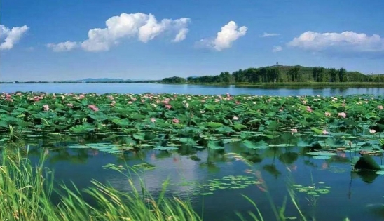 關于全面推進美麗遼寧建設的實施意見（征求意見稿）發布！